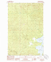 Download a high-resolution, GPS-compatible USGS topo map for Twin Lakes, WA (1985 edition)