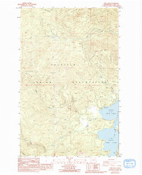 Download a high-resolution, GPS-compatible USGS topo map for Twin Lakes, WA (1994 edition)