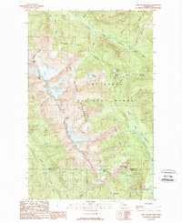 Download a high-resolution, GPS-compatible USGS topo map for Twin Sisters Mtn, WA (1989 edition)