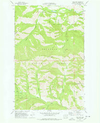 Download a high-resolution, GPS-compatible USGS topo map for Twisp West, WA (1978 edition)