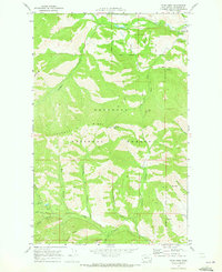 Download a high-resolution, GPS-compatible USGS topo map for Twisp West, WA (1973 edition)