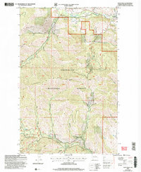 Download a high-resolution, GPS-compatible USGS topo map for Twisp West, WA (2006 edition)