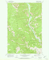 Download a high-resolution, GPS-compatible USGS topo map for Tyee Mtn, WA (1972 edition)