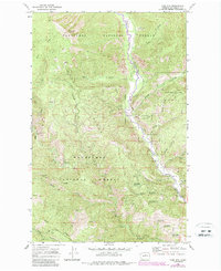 Download a high-resolution, GPS-compatible USGS topo map for Tyee Mtn, WA (1987 edition)