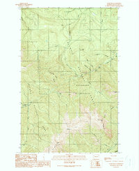 Download a high-resolution, GPS-compatible USGS topo map for Tyler Peak, WA (1990 edition)