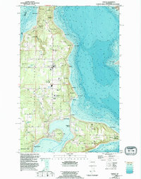 Download a high-resolution, GPS-compatible USGS topo map for Vashon, WA (1995 edition)