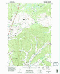 Download a high-resolution, GPS-compatible USGS topo map for Violet Prairie, WA (1995 edition)