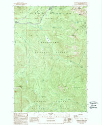 Download a high-resolution, GPS-compatible USGS topo map for Wahpenayo Peak, WA (1989 edition)