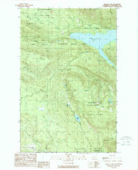Download a high-resolution, GPS-compatible USGS topo map for Wallace Lake, WA (1989 edition)