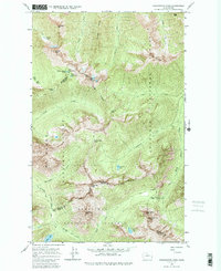 Download a high-resolution, GPS-compatible USGS topo map for Washington Pass, WA (1986 edition)
