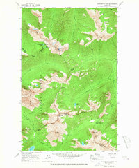 Download a high-resolution, GPS-compatible USGS topo map for Washington Pass, WA (1967 edition)