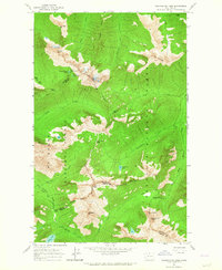 Download a high-resolution, GPS-compatible USGS topo map for Washington Pass, WA (1964 edition)