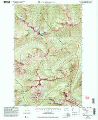 Download a high-resolution, GPS-compatible USGS topo map for Washington Pass, WA (2006 edition)
