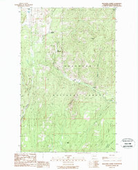 Download a high-resolution, GPS-compatible USGS topo map for Wauconda Summit, WA (1988 edition)