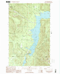 preview thumbnail of historical topo map of Whatcom County, WA in 1989