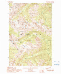 Download a high-resolution, GPS-compatible USGS topo map for Wellesley Peak, WA (1990 edition)