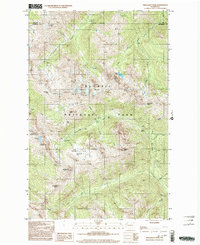 Download a high-resolution, GPS-compatible USGS topo map for Wellesley Peak, WA (2003 edition)