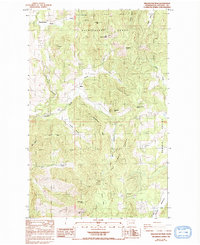 Download a high-resolution, GPS-compatible USGS topo map for Wellington Peak, WA (1993 edition)