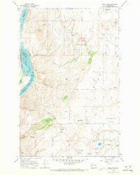 Download a high-resolution, GPS-compatible USGS topo map for Wells Dam, WA (1971 edition)