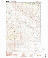 Download a high-resolution, GPS-compatible USGS topo map for Wenas Lake, WA (1985 edition)