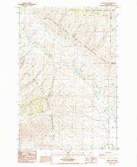 Download a high-resolution, GPS-compatible USGS topo map for Wenas Lake, WA (1985 edition)