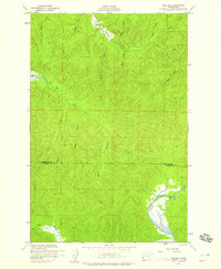 Download a high-resolution, GPS-compatible USGS topo map for Western, WA (1960 edition)