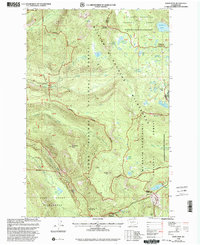 Download a high-resolution, GPS-compatible USGS topo map for White Pass, WA (2003 edition)