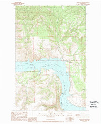 Download a high-resolution, GPS-compatible USGS topo map for Whitestone Rock, WA (1989 edition)