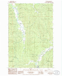 Download a high-resolution, GPS-compatible USGS topo map for Wildwood, WA (1986 edition)