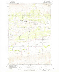Download a high-resolution, GPS-compatible USGS topo map for Wiley City, WA (1976 edition)