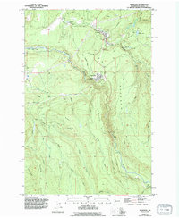 Download a high-resolution, GPS-compatible USGS topo map for Wilkeson, WA (1994 edition)