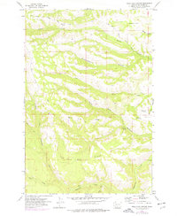 Download a high-resolution, GPS-compatible USGS topo map for Willy Dick Canyon, WA (1977 edition)