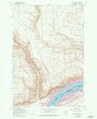 Download a high-resolution, GPS-compatible USGS topo map for Wood Gulch, WA (1972 edition)