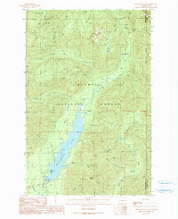 Download a high-resolution, GPS-compatible USGS topo map for Wynoochee Lake, WA (1990 edition)