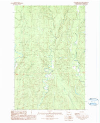 Download a high-resolution, GPS-compatible USGS topo map for Wynoochee Valley NE, WA (1990 edition)