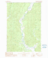 Download a high-resolution, GPS-compatible USGS topo map for Wynoochee Valley SW, WA (1990 edition)