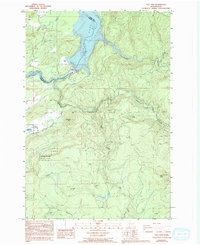 Download a high-resolution, GPS-compatible USGS topo map for Yale Dam, WA (1994 edition)