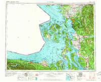 preview thumbnail of historical topo map of Whatcom County, WA in 1957