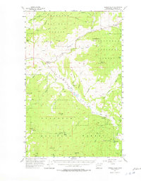 Download a high-resolution, GPS-compatible USGS topo map for Aeneas Valley, WA (1978 edition)