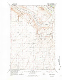 Download a high-resolution, GPS-compatible USGS topo map for Badger Mtn, WA (1982 edition)