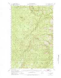 Download a high-resolution, GPS-compatible USGS topo map for Bald Knob, WA (1984 edition)