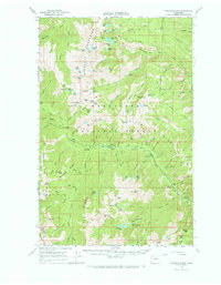 Download a high-resolution, GPS-compatible USGS topo map for Chiwaukum Mts, WA (1973 edition)