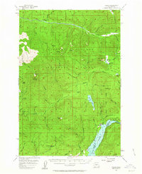 Download a high-resolution, GPS-compatible USGS topo map for Cougar, WA (1963 edition)