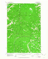 Download a high-resolution, GPS-compatible USGS topo map for Liberty, WA (1963 edition)