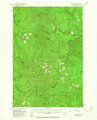 Download a high-resolution, GPS-compatible USGS topo map for Lookout Mtn, WA (1963 edition)