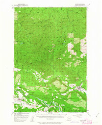 Download a high-resolution, GPS-compatible USGS topo map for Morton, WA (1963 edition)