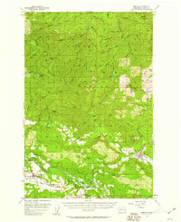 Download a high-resolution, GPS-compatible USGS topo map for Morton, WA (1959 edition)