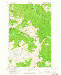 Download a high-resolution, GPS-compatible USGS topo map for Mount Olympus, WA (1965 edition)