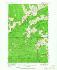 Download a high-resolution, GPS-compatible USGS topo map for Mt Steel, WA (1965 edition)