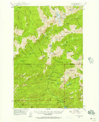 Download a high-resolution, GPS-compatible USGS topo map for Mt Steel, WA (1957 edition)